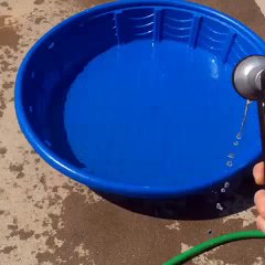 Arrête... de... remplir... cette... putain... de... piscine !