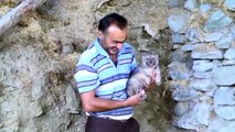 Anadolu Ajansı - Kangal köpeği, yavru kurda annelik yapıyor