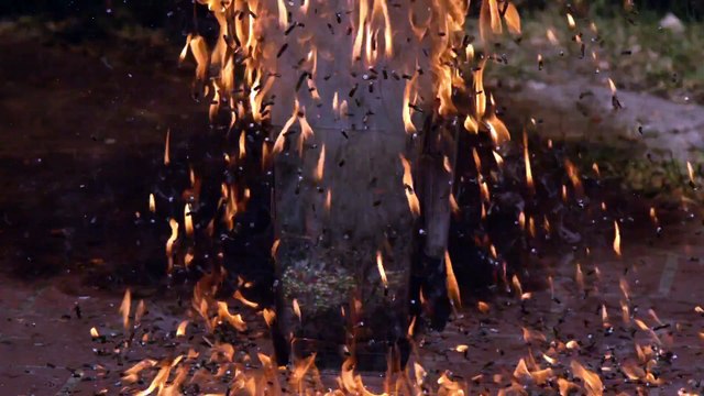 Pile Of Matches Exploding In Super Slow Motion