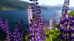 Nordfjord - Explore the magical and pure nature