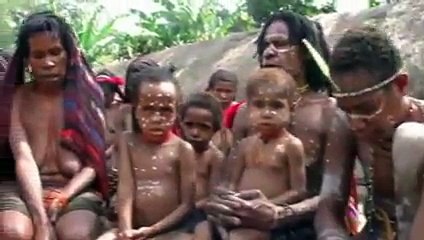 David Haluk_Dont You Cry lagu perjuangan bapak,gubernur lukas enembe