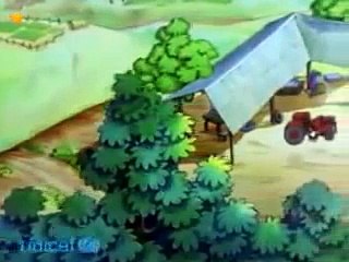 Meena Cartoon: It's got to be a boy