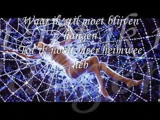 Marco Borsato-De verliezer met lyrics
