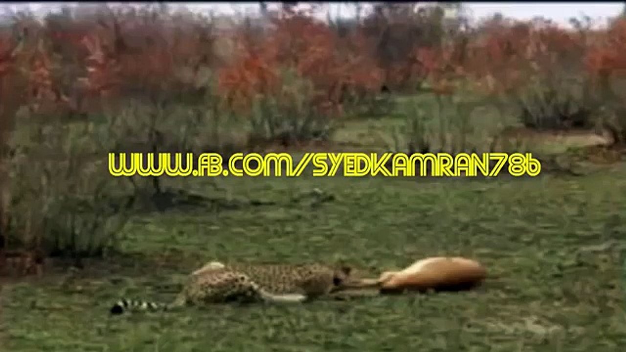 ALLAH Ki Qudrat_ALLAH Ki Shaan_ Miracle Of ALLAH_Must Watch