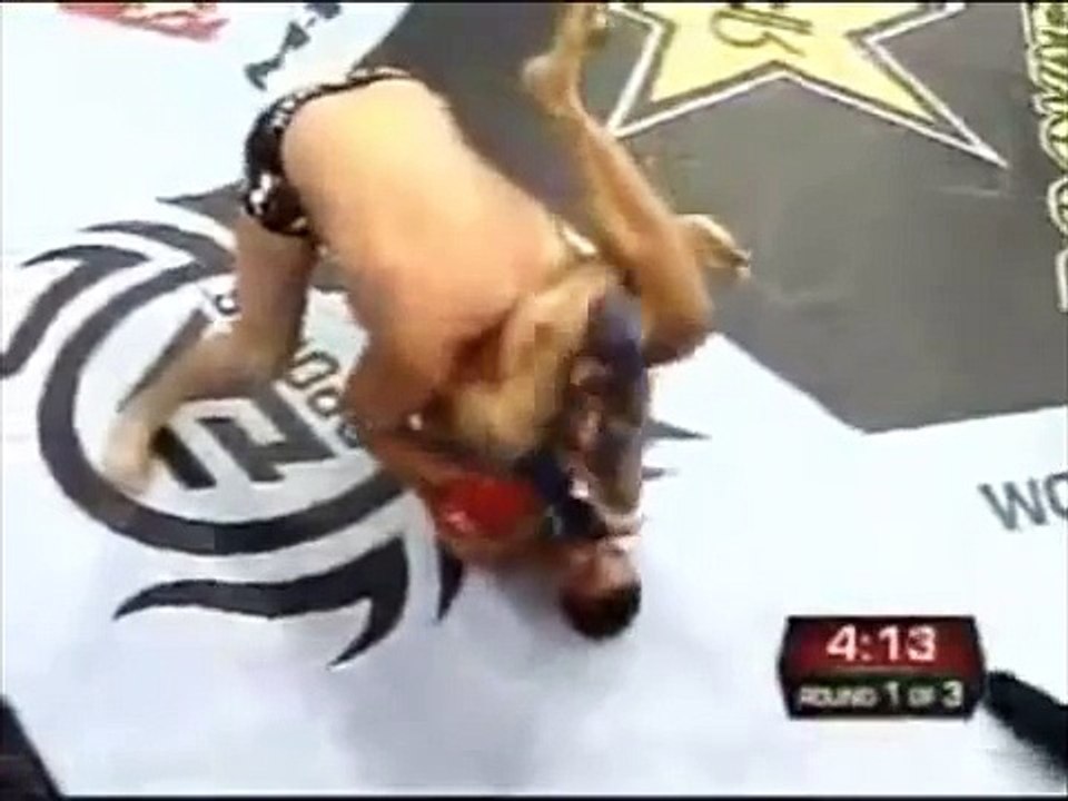 Cat in Shock - Fedor Emelianenko vs Fabricio Werdum. (Котэ негодует!)