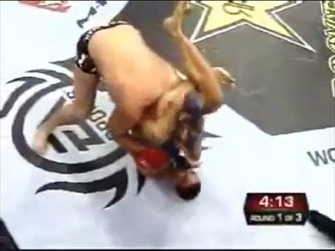 Cat in Shock - Fedor Emelianenko vs Fabricio Werdum. (Котэ негодует!)