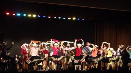 58 Festival de Confolens 2015.