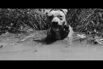 Le Rakuen promenades 2015-07 Izzy