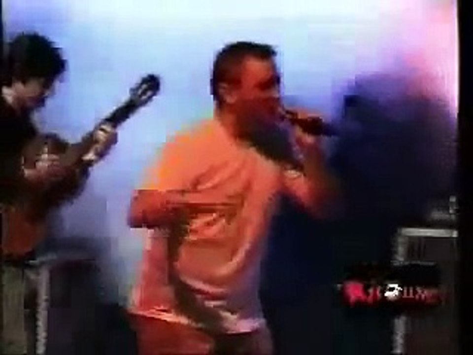 La Vache elle est Barjo !!