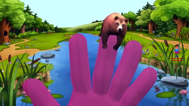 Bear Cartoon Singing Finger Family Rhymes And Twinkle Twinkle Little Star Children Nursery Rhymes