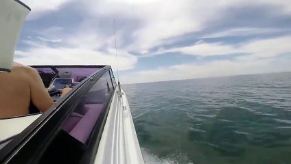 Boat trip to Pelee Island