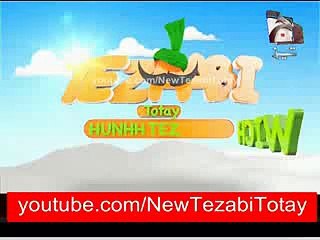 New Punjabi Totey//Zulfiqar Mirza Abusing//FUNNY//HD