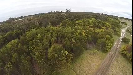 Eagle Attacks a Drone In Mid Air