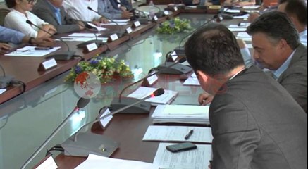 Skanimi i doganave, Ligjet miratojnë marrëveshjen mes qeverisë dhe kompanisë Rapiscan-Ora News