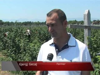 Lajme - Bekim Ermeni vizitë fermerëve