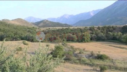 Parcelë me kanabis në Vlorë, banorët kultivojnë pa frikë bimën narkotike  - Ora News-