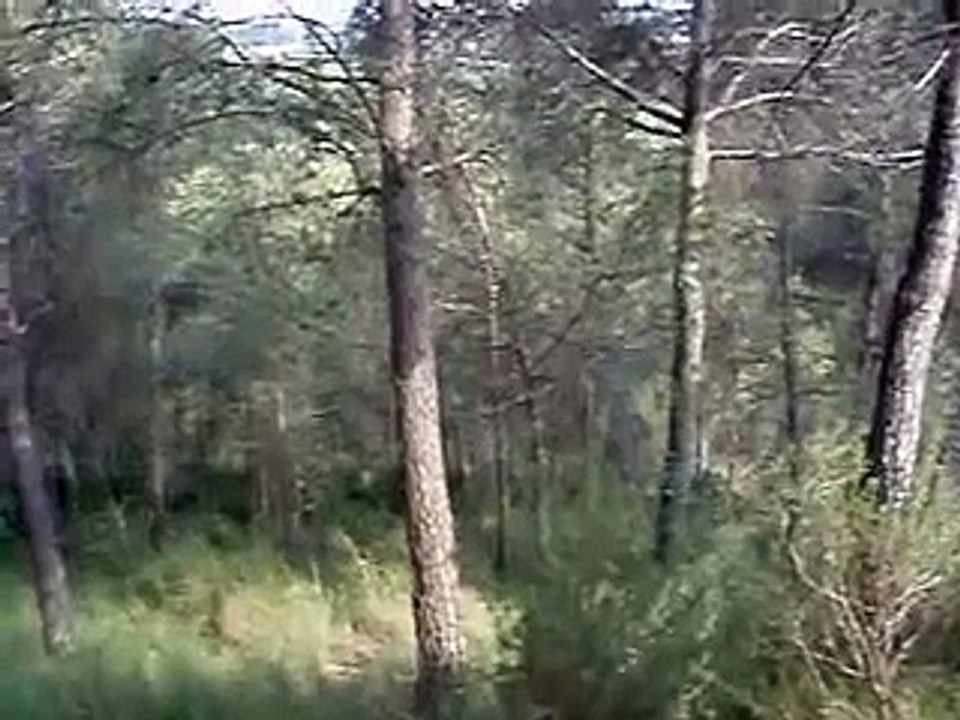 Los Danko : Capitan masturbacion