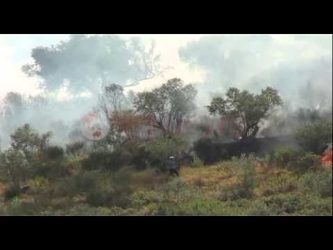 Zjarr, Digjet një sipërfaqe me pemë frutore ne Lushnje- Ora News- Lajmi i fundit-