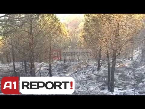 A1 Report - Fier, dëme kolosale nga zjarri digjen mbi 90 hektarë me pyje