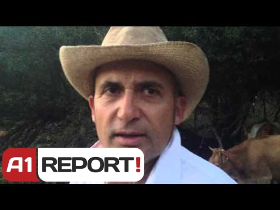A1 Report - Shtegtim ne Fermen Sotira