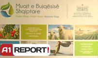 A1 Report - Ministri Panariti: “Made in Albania” shenjë e mirë e rritjes ekonomike