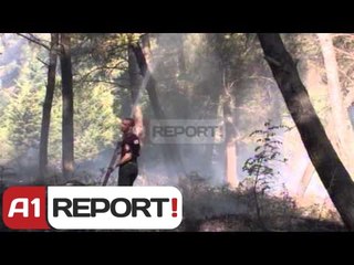 A1 Report - Krujë, barinjtë i vënë zjarrin pyjeve për të hapur kullota për bagëtitë