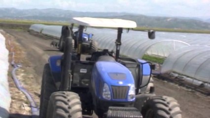 Panariti: 5 mln euro për kreditimin e sektorit të bujqësisë dhe blegtorisë