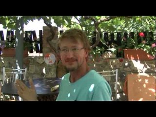 Driloni pika turistike e preferuar për të huajt në Pogradec - Ora News- Lajmi i fundit-
