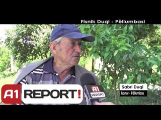 Njerëzit - Fisnik Duqi, Pëllumbasi nga Agim Pipa