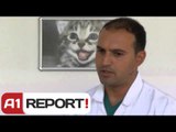 A1 Report - Qentë e rrugës nuk do të vriten bashkia e re u gjen atyre 