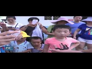 Gjarpri me dy koka në një fermë të Kinës