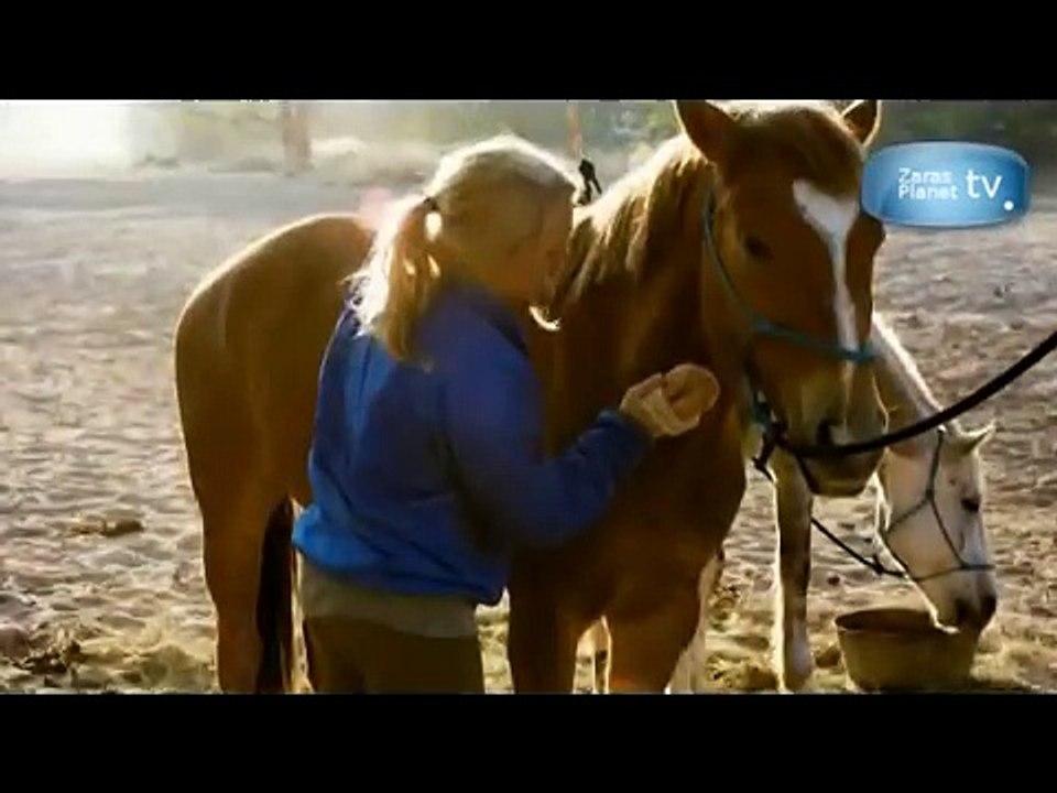 Namibia Horse Riding Safari Endurance ride in desert