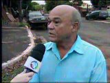 MS Record 1ª Edição - Veículos sucateados preocupam moradores do bairro Guanandi