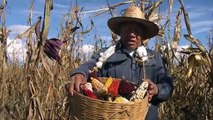 SUNÚ - Documental sobre uno de los mayores tesoros del mundo