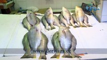 فيديو | سوق السمك في نهاية يوم أمس