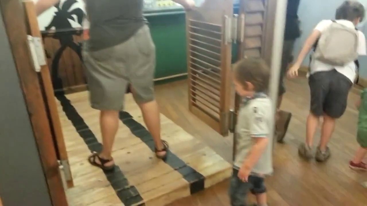 Un enfant se prend une porte battante en pleine tête (Belgique)