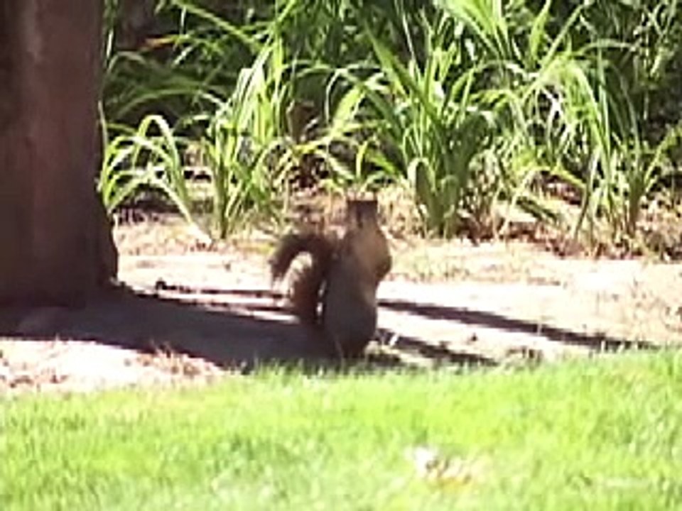 Secret Life of College Campus:  USC Edition