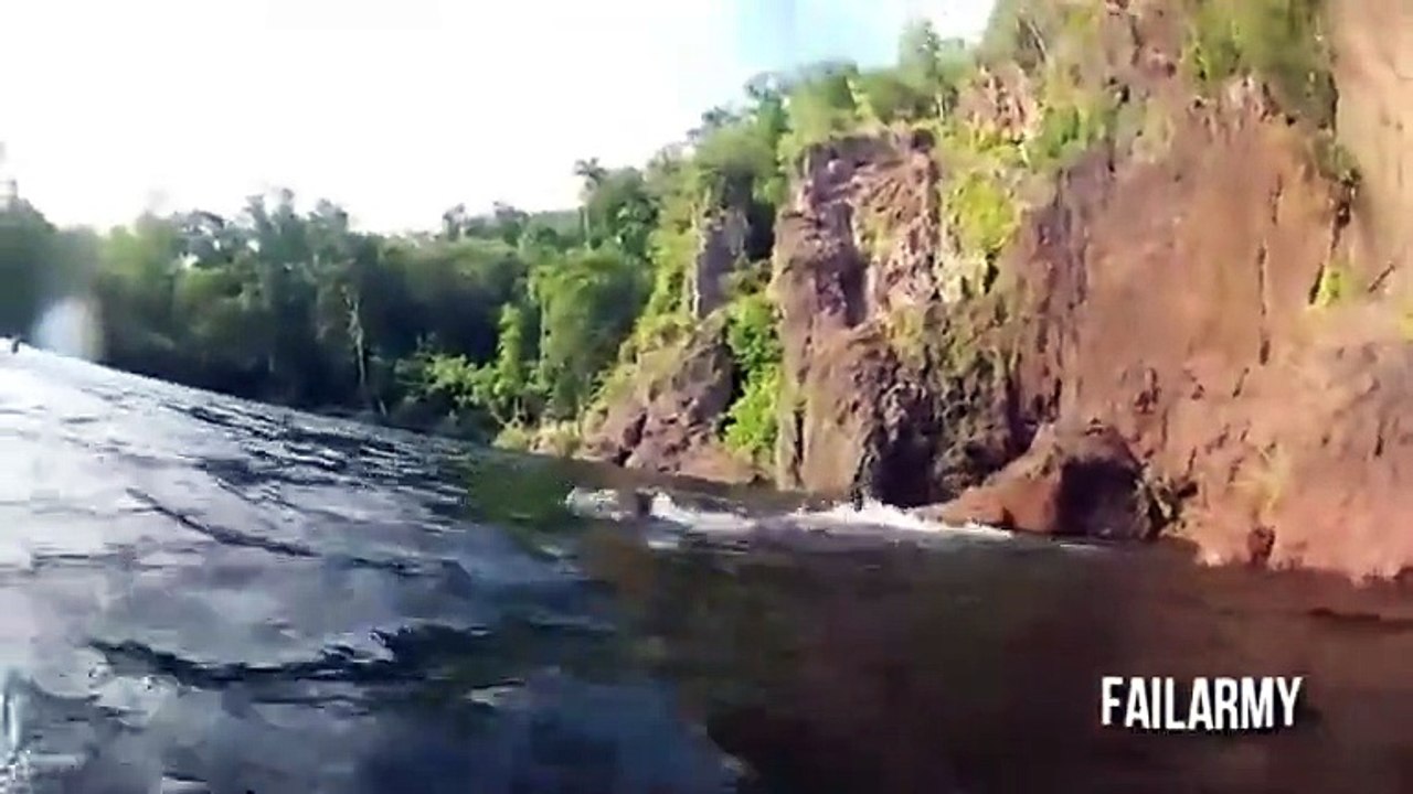 When Animals Attack Compilation  FailArmy