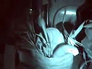 Autobus mágico - Un viaje por el cuerpo humano