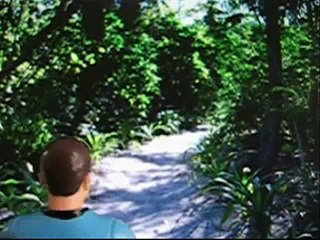 STAR TREK: THE NEXT PHASE