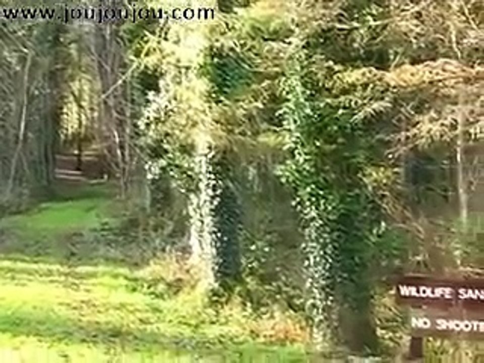 Lough Meelagh i wiatraki.