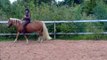 Nico und Sandra, Natural Horsemanship