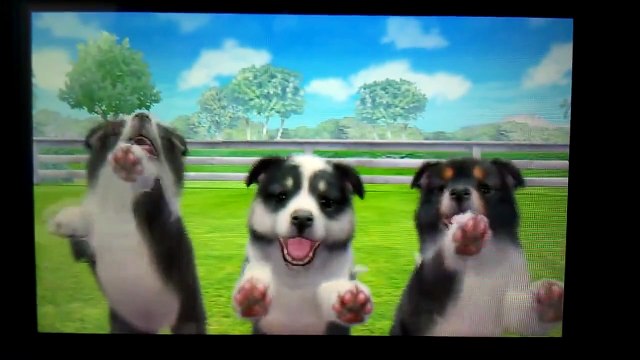 Nintendogs + Cats 3DS [French Bulldog Version]