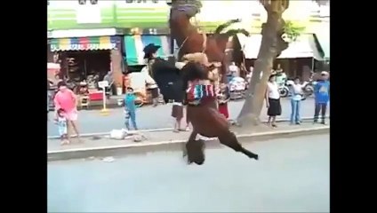 الحصان عندما يغضب مقطع مضحك