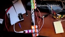 Animated Jumping Grasshopper with Arduino littlebits