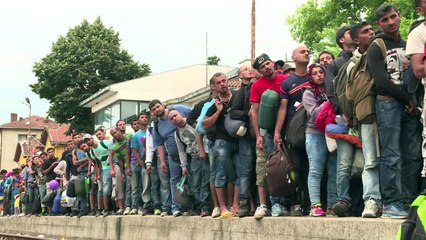2,000 refugees stuck on Macedonia border as more arrive