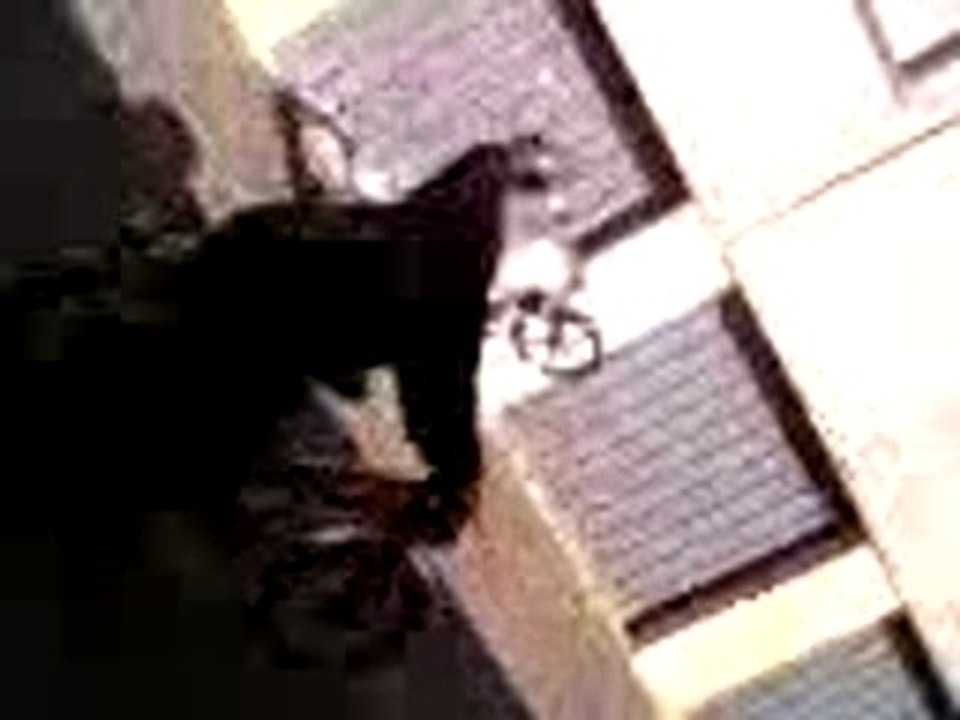 Video-0021