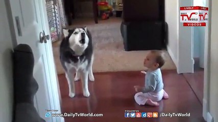 Baby And Dog Crying