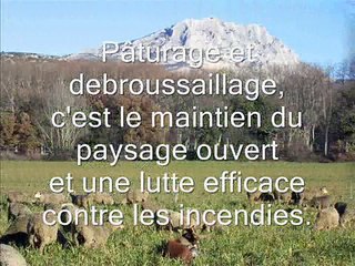 les 4 saisons d'un berger