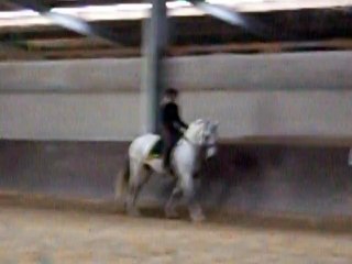 Serafim février 2011